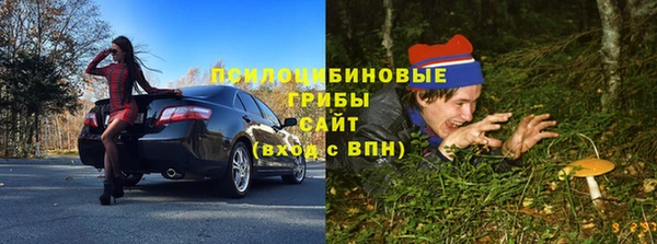 амф Абинск