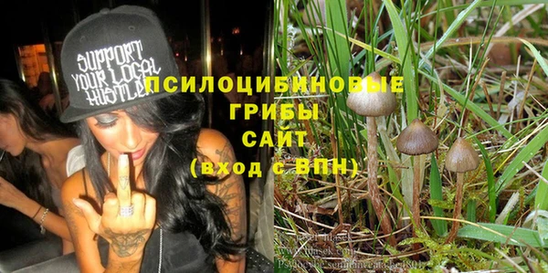 амф Абинск