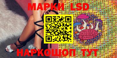 спиды Шелехов