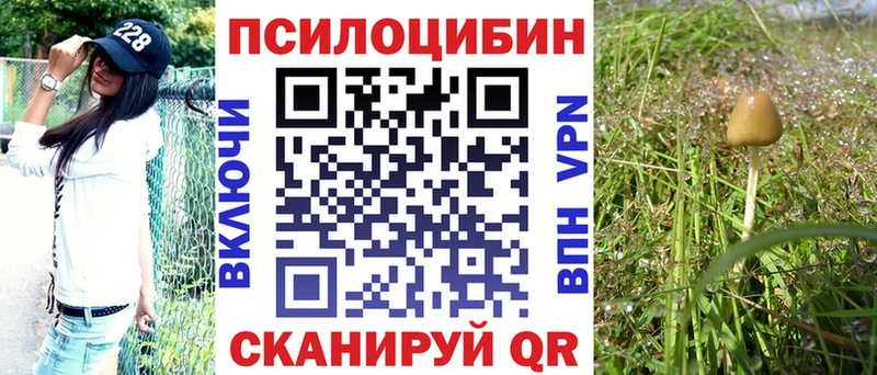 Псилоцибиновые грибы MAGIC MUSHROOMS  Отрадное 