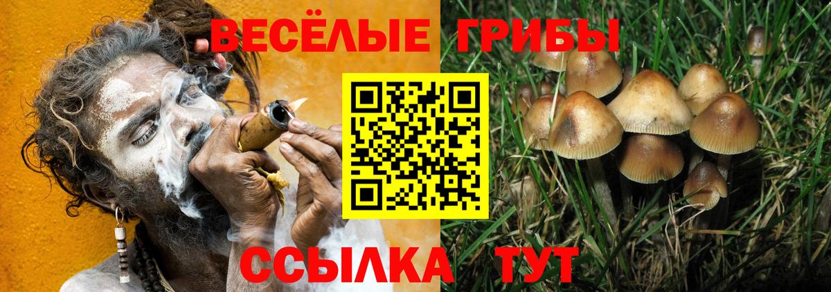 Отрадное  Галлюциногенные грибы мицелий  Вход с VPN  Псилоцибиновые грибы мухоморы 